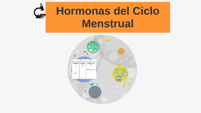 Hormonas Del Ciclo Menstrual By Carlo Benavidez 8354