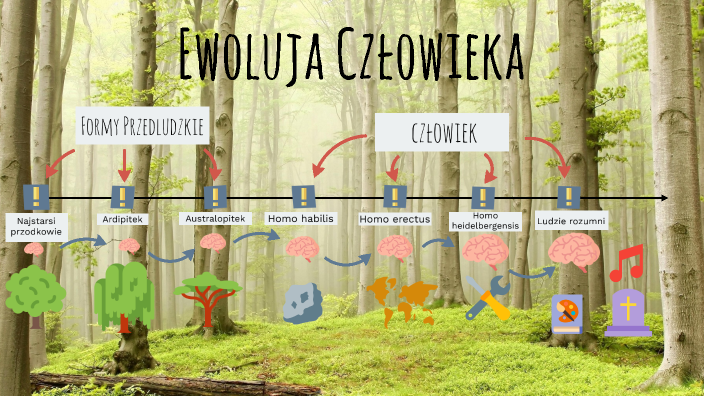 Sprawdzian Biologia Ewolucja Puls życia 3 Biologia - ewolucja człowieka by Piotr Dróżdż on Prezi