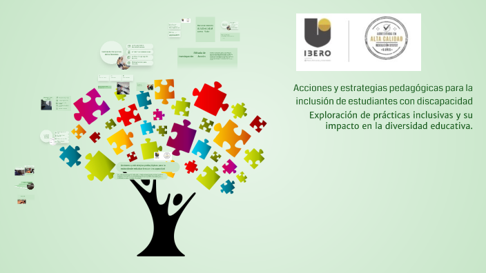 Acciones y estrategias pedagógicas para la inclusión de estudiantes con ...