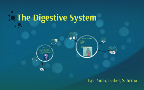 The Digestive System by izzy castro on Prezi