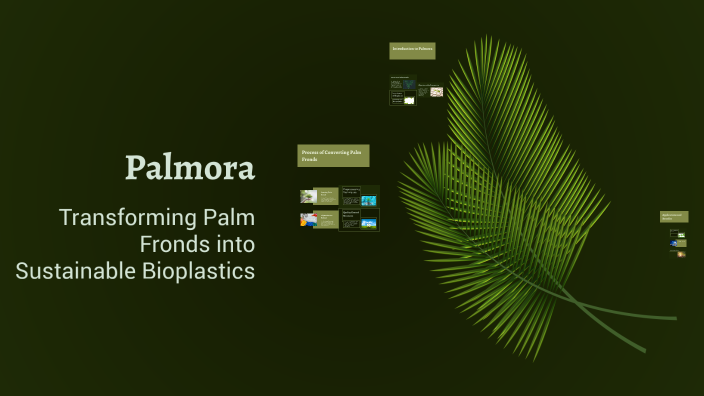 Palmora by Zahraa on Prezi