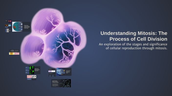 Understanding Mitosis: The Process of Cell Division by MARCEL QUEROL on ...