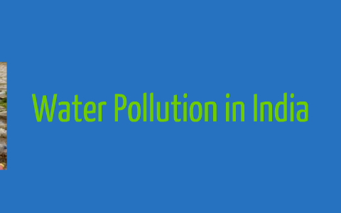 Water Pollution in India by Erin Brown