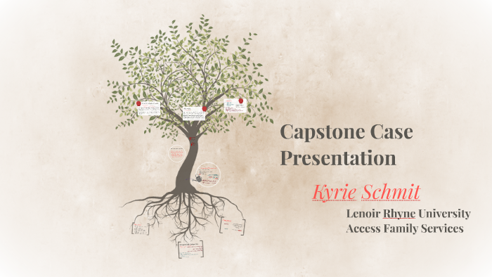 Capstone Case Presentation by Kyrie Schmit on Prezi