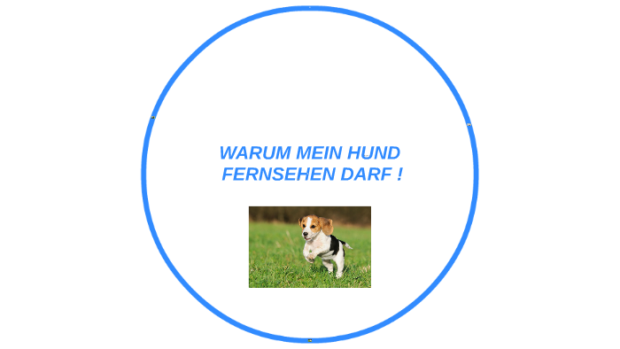 WARUM MEIN HUND FERNSEHEN DARF ! by Hannah Wieland