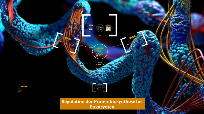 Proteinbiosynthese bei Eukaryoten by Ali Odky on Prezi