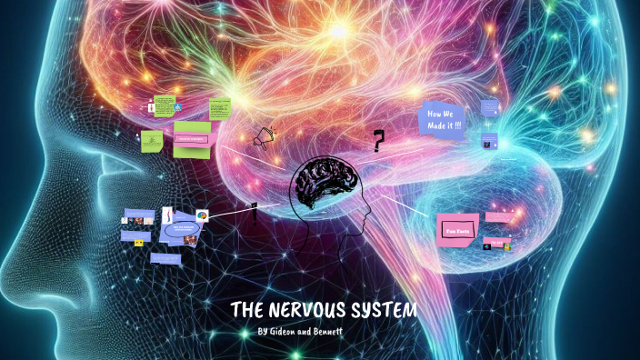 by Bennett Ackery on Prezi