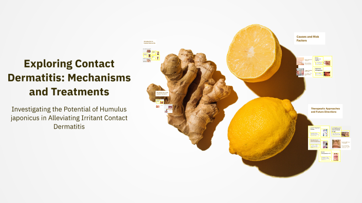 Exploring Contact Dermatitis: Mechanisms and Treatments by 宜瑩 詹 on Prezi