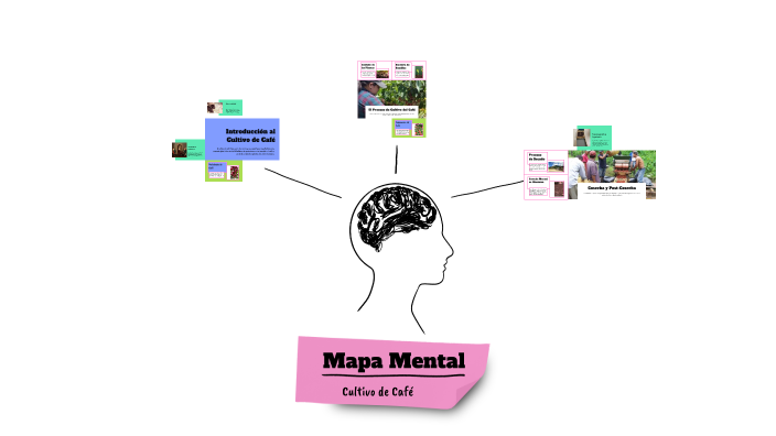 Mapa Mental by Alejandra Lopez montes on Prezi