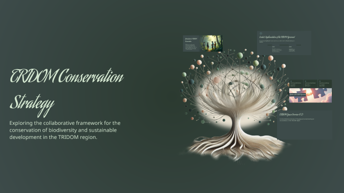 Tridom Map TRIDOM Conservation Strategy by Mbah Peggy on Prezi