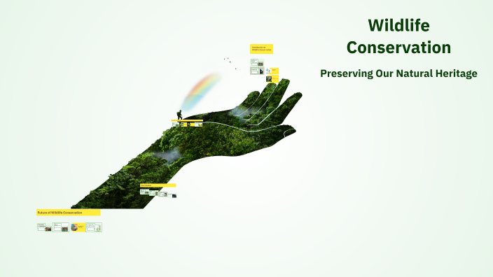 Wildlife Conservation by YiChin Lin on Prezi