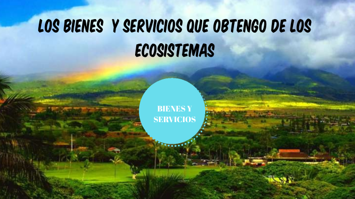 Los bienes y servicios que obtengo de los ecosistemas by Evelyn