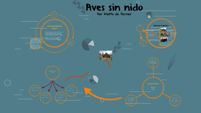 Presentacion aves sin nido by emely cadena on Prezi