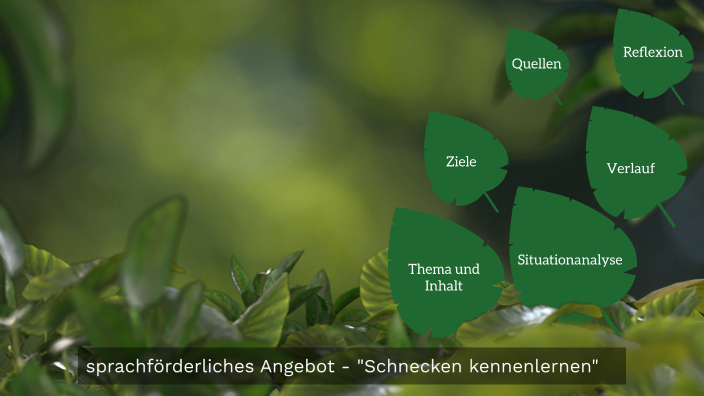 Ein Sprachförderliches Angebot By Megan Falkner On Prezi