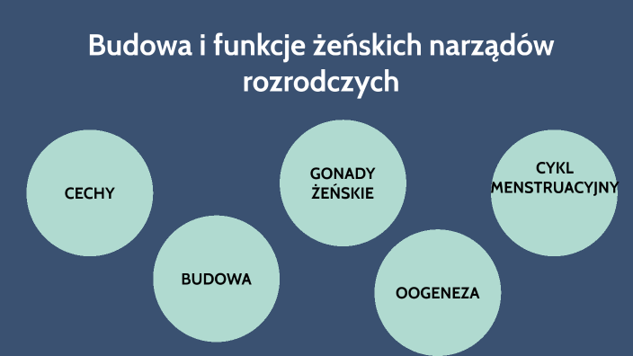 budowa i funkcje żeńskich narządów płciowych by Marcin Caban on Prezi
