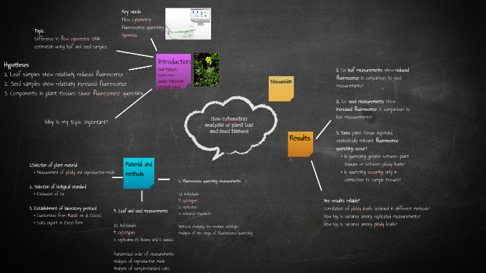 Mind map of master thesis by Anna Myllynen on Prezi