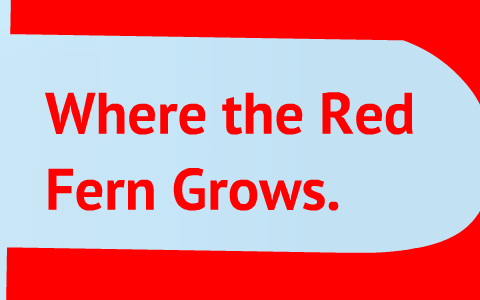 Cherokee Legends And Stories Where The Red Fern Grows By Tanner Reed Cherokee Legends And Stories Where The Red Fern Grows By Tanner Reed
