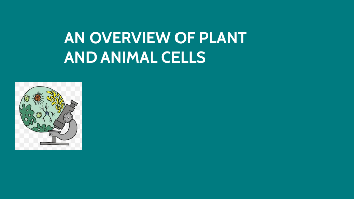 AN OVERVIEW OF PLANT AND ANIMAL CELLS by HARRISON TROTEVILLE on Prezi