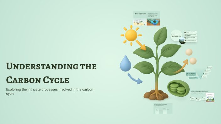 Understanding the Carbon Cycle by Yangzom Yangzom on Prezi