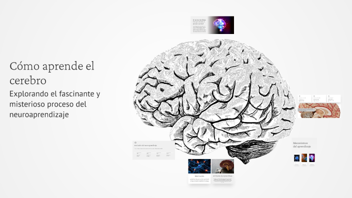 Cómo aprende el cerebro by Alejandro Patiño on Prezi