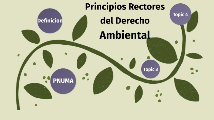 Principios Rectores Del Derecho Ambiental By Michael Hernandez On Prezi 8784