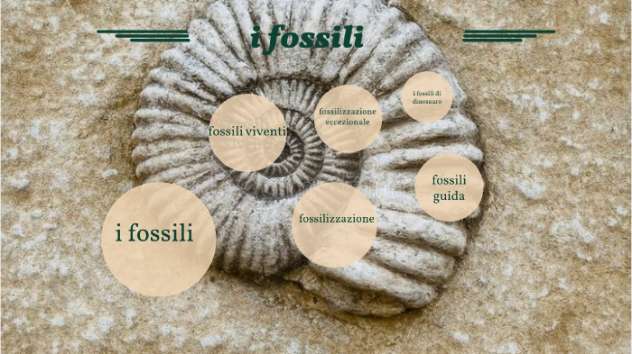 Relativa attività fossili di datazione