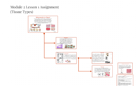 Module 2 Lesson 1 Assignment by Austin Costner