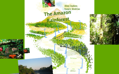 The Amazon Rainforest by Abbey Stephens on Prezi
