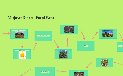 Mojave Desert Food Web by Annie Oldani