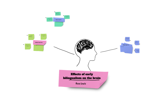 Effects of early bilingualism on the brain by Rose Lewis on Prezi
