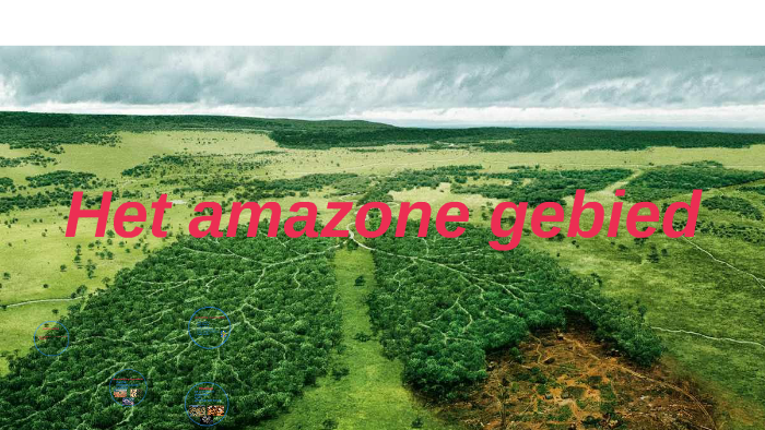 Het amazone gebied by Lucas Vermeersch on Prezi
