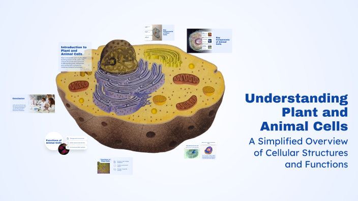 Understanding Plant and Animal Cells by staz shix on Prezi