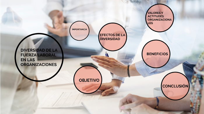 DIVERSIDAD DE LA FUERZA LABORAL EN LAS ORGANIZACIONES by RAQUEL NOEMI