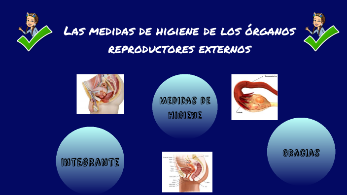 Las medidas de higiene de los aparatos reproductores masculinos y