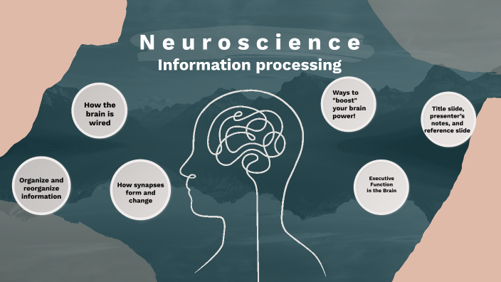 Neuroscience by Amanda Pearson on Prezi Neuroscience by Amanda Pearson on Prezi
