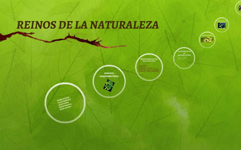 REINOS DE LA NATURALEZA by Josseline Flores on Prezi