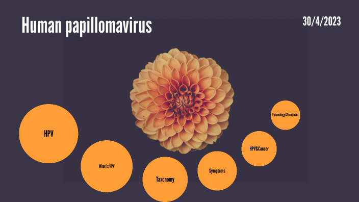 Human Papillomavirus By حيدر محمد On Prezi