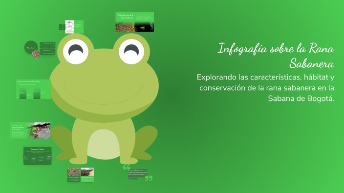 Infografía sobre la Rana Sabanera by david navarrete on Prezi
