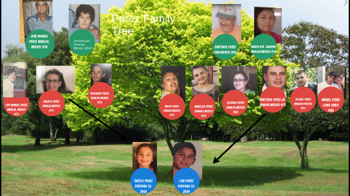 Perez Family Tree by luis pereez on Prezi