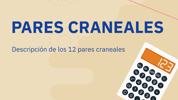 PARES CRANEALES by TANIA ELIZABETH ROMO CUELLAR CORTES on Prezi