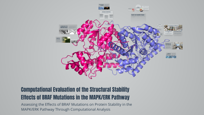 Computational Evaluation of the Structural Stability Effects of BRAF ...