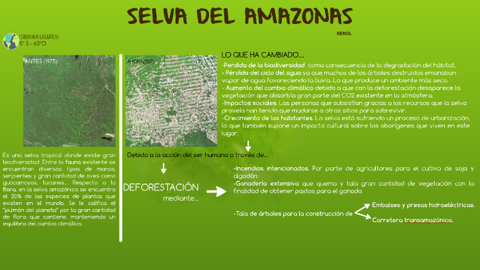 SELVA DEL AMAZONAS by Andrea Ordóñez on Prezi