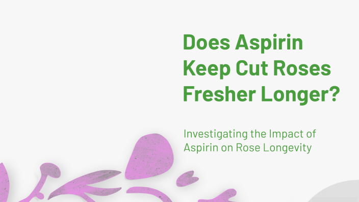Does Aspirin Keep Cut Roses Fresher Longer? by GRACYN MOONSHINE on Prezi