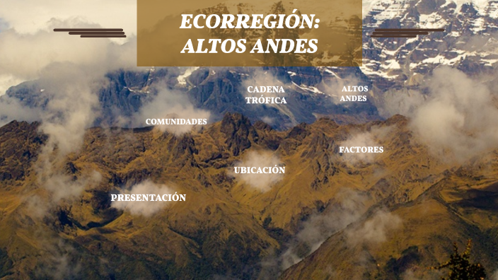 ECOREGION: ALTOS ANDES by NAHIR DIAZ on Prezi