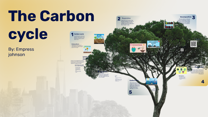The Carbon cycle by empress johnson on Prezi