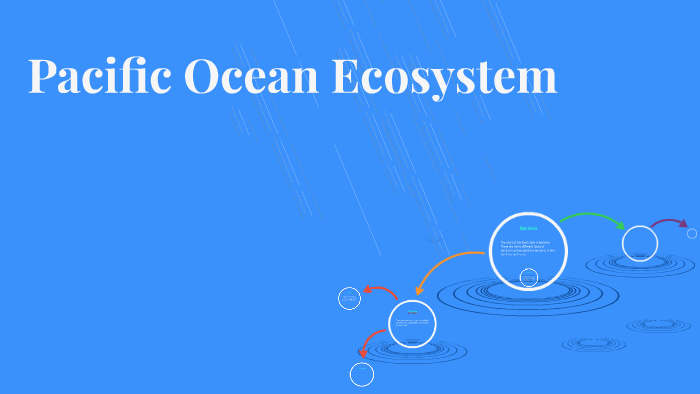 Pacific Ocean Ecosystem by johana pineda