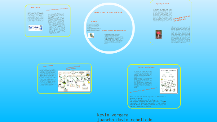 Los reinos de la naturaleza by juan david rebolledo miranda on Prezi