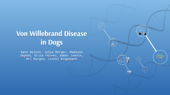 Image showcasing Von Willebrand Disease in Dogs by Madison Jagoda on Prezi