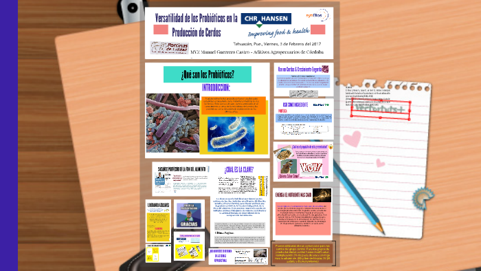 BioPlus 2B-Porcinas de Calidad by Manuel Guerrero Castro on Prezi