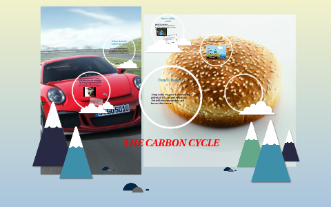 The Carbon Cycle by Jack Pozywio on Prezi